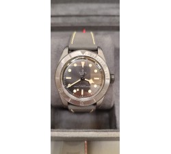 Tudor Black Bay Ceramic NEW 2024 STICKERS M79210CNU-0001